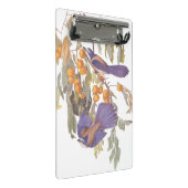 ブルーフロリダスクラブジェイAudubonオレンジと鳥 ミニクリップボード (アングル)