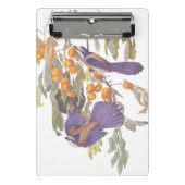 ブルーフロリダスクラブジェイAudubonオレンジと鳥 ミニクリップボード (正面)