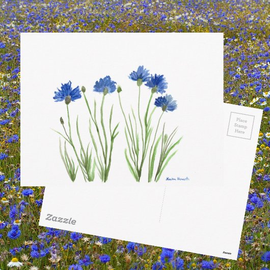 ブルーフローラシック素朴な水の色コーンフラワー ポストカード