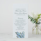 ブルーフローラデルフィニウム計画 プログラム (スタンド正面)