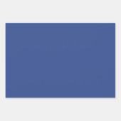 ブルーフローラ紙 ラッピングペーパーシート (正面2)