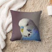 ブルーブジかわいらしーの写真 クッション (ブランケット)