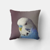 ブルーブジかわいらしーの写真 クッション (裏面)