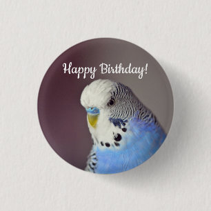 ブルーブジかわいらしーフォト誕生日 缶バッジ