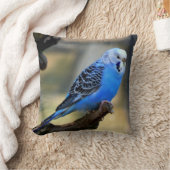 ブルーブジエオウム クッション (ブランケット)