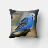 ブルーブジエオウム クッション (裏面)