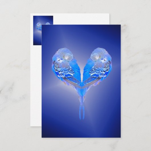 ブルーブディー (正面/裏面)