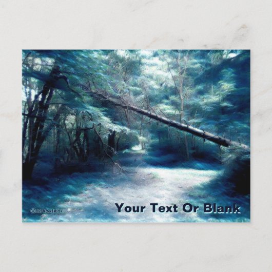 ブルーブライドルパス ポストカード (正面)