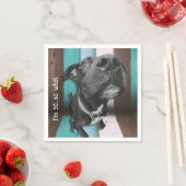 ブルーブラウンおもしろい50番犬クローズアップ スタンダードカクテルナプキン (インサイチュ)