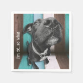 ブルーブラウンおもしろい50番犬クローズアップ スタンダードカクテルナプキン (正面)