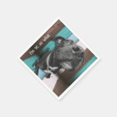 ブルーブラウンおもしろい50番犬クローズアップ スタンダードカクテルナプキン (角)