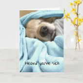 ブルーブランケットで眠るゴールデンレトリバーが良くなる カード (黄色い花)