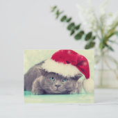 ブルーブリティッシュキャットパーフェクトホリデーシーズン シーズンポストカード (スタンド正面)