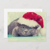 ブルーブリティッシュキャットパーフェクトホリデーシーズン シーズンポストカード (正面/裏面)