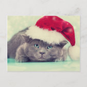 ブルーブリティッシュキャットパーフェクトホリデーシーズン シーズンポストカード (正面)