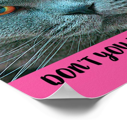 ブルーブリティッシュショートヘアおもしろいキャットユーモアのあると ポスター (角)