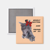 ブルーブリティッシュショートヘア冷蔵庫用マグネット マグネット (正面/裏面)