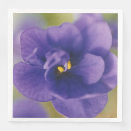 ブルーブルーブルームーブリーミングフラワーズオブバイオレットSaintpaulia