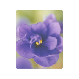 ブルーブルームーブリームオブバイオレットサイン桐 メタルプリント