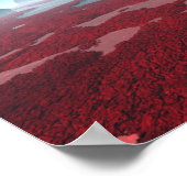 ブループラネット ポスター (角)