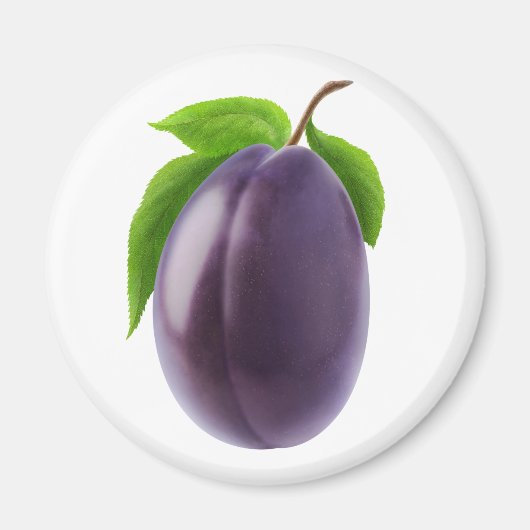 ブループラム マグネット (正面)