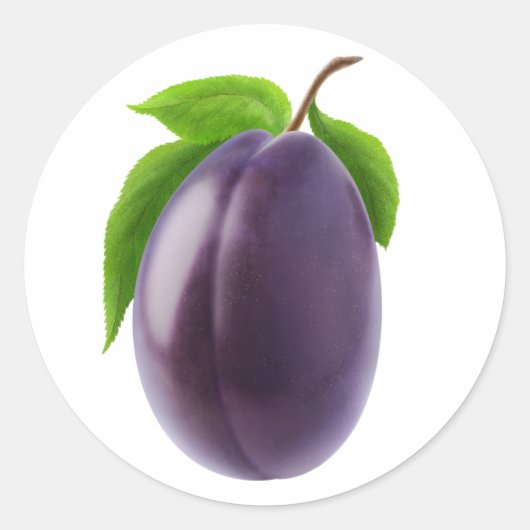 ブループラム ラウンドシール (正面)