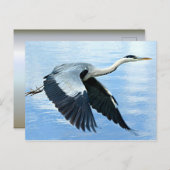 ブルーヘロンが水上を飛行 ポストカード (正面/裏面)