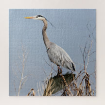 ブルーヘロンとシダの丘の湿地