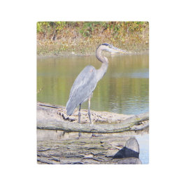 ブルーヘロンの金属壁画 メタルプリント