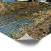 ブルーヘロンアット池プリント ポスター (角)