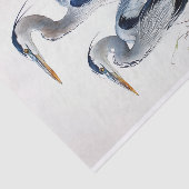 ブルーヘロンズ3デクページ紙 薄葉紙 (詳細)