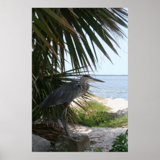 ブルーヘロンポスター ポスター