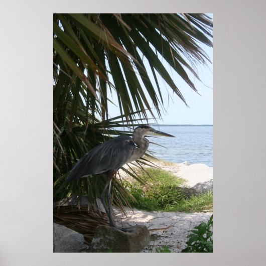 ブルーヘロンポスター ポスター (正面)