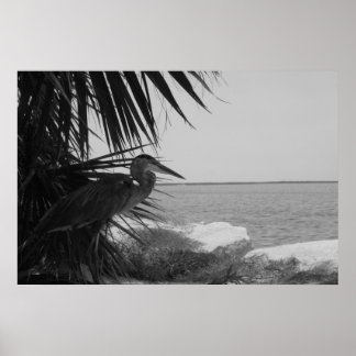 ブルーヘロンポスター ポスター