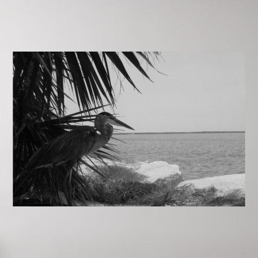 ブルーヘロンポスター ポスター (正面)