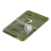 ブルーヘロン柔軟フォトマグネット マグネット (左側)