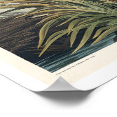 ブルーヘロン素晴らしバイアウドゥボンポスター ポスター (角)