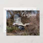 ブルーヘロン素晴らし飛行中アリゾナはがき ポストカード (正面/裏面)
