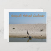 ブルーヘロン葉書とアラバマ島ドーフィン島 ポストカード (正面/裏面)