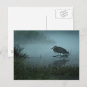 ブルーヘロン葉書 ポストカード (正面/裏面)