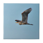 ブルーヘロン タイル (正面)