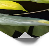 ブルーヘロン ポスター (角)