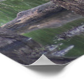 ブルーヘロ素晴らしンキャンバス印刷 ポスター (角)