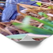 ブルーヘロ素晴らしンポスター ポスター (角)