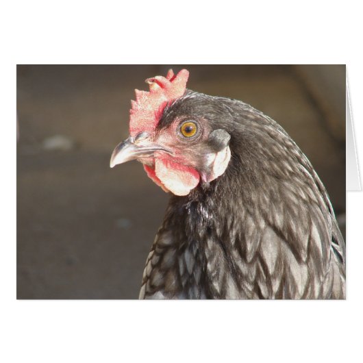 ブルーヘン (正面横)