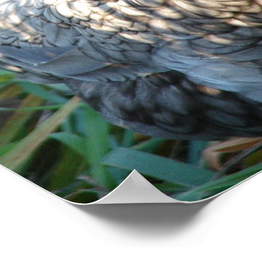 ブルーヘン ポスター (角)