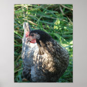 ブルーヘン ポスター (正面)