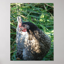 ブルーヘン ポスター