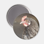 ブルーヘン マグネット (正面/裏面)