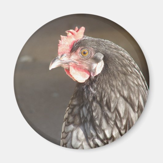 ブルーヘン マグネット (正面)